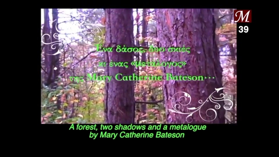 Ένα δάσος, δυο σκιές κι ένας «μετάλογος» της Mary Catherine Bateson...